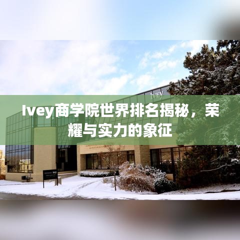 Ivey商学院世界排名揭秘，荣耀与实力的象征