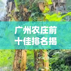 广州农庄前十佳排名揭晓，领略乡村魅力的梦幻之地