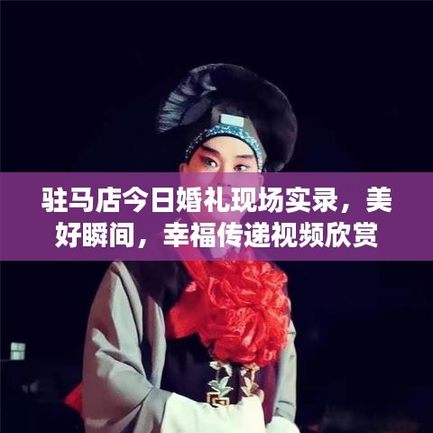 驻马店今日婚礼现场实录，美好瞬间，幸福传递视频欣赏