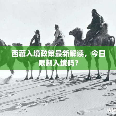 西藏入境政策最新解读，今日限制入境吗？