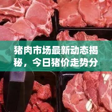 猪肉市场最新动态揭秘，今日猪价走势分析及未来展望