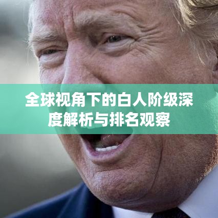 全球视角下的白人阶级深度解析与排名观察