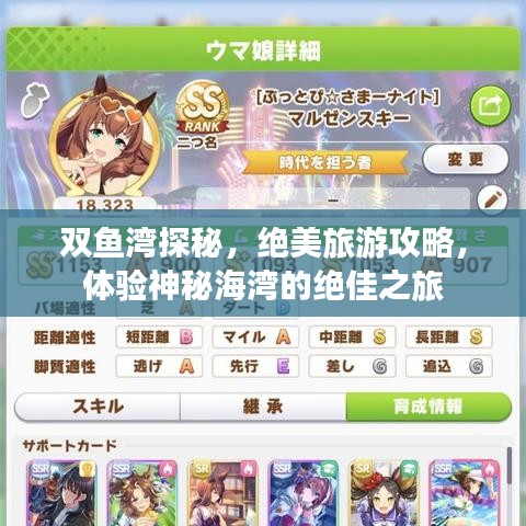 双鱼湾探秘，绝美旅游攻略，体验神秘海湾的绝佳之旅