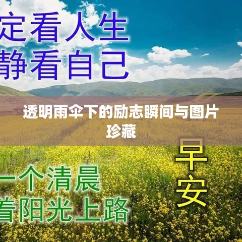 透明雨伞下的励志瞬间与图片珍藏