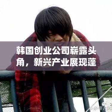 韩国创业公司崭露头角，新兴产业展现蓬勃力量排行榜揭晓！