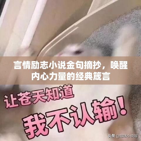 言情励志小说金句摘抄，唤醒内心力量的经典箴言