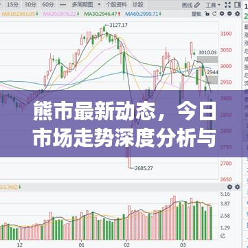熊市最新动态，今日市场走势深度分析与应对策略揭秘