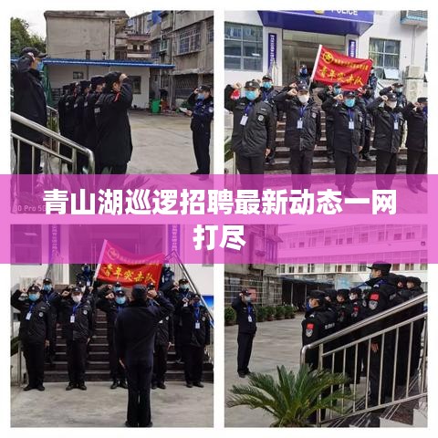 青山湖巡逻招聘最新动态一网打尽