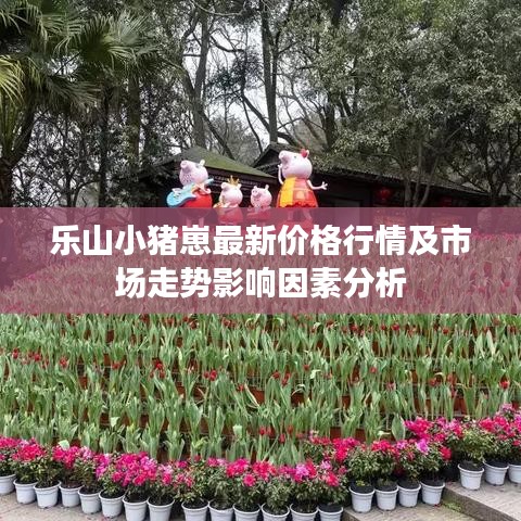 乐山小猪崽最新价格行情及市场走势影响因素分析
