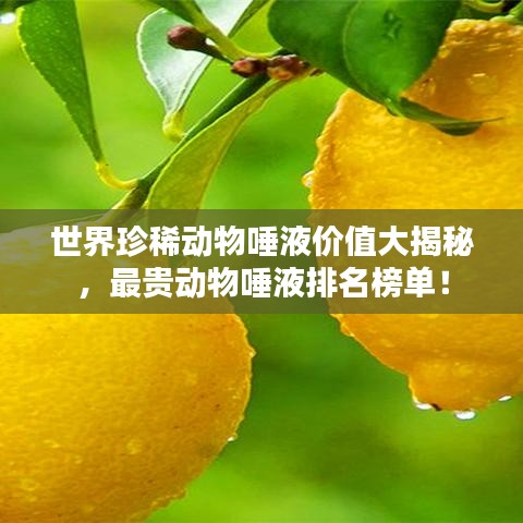 世界珍稀动物唾液价值大揭秘，最贵动物唾液排名榜单！