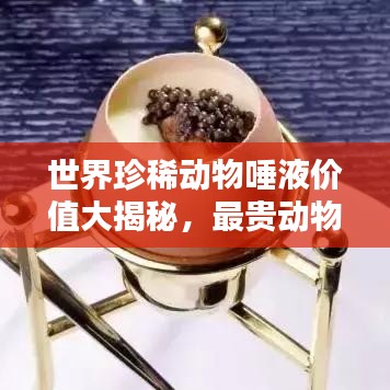 世界珍稀动物唾液价值大揭秘,最贵动物唾液排名榜单!