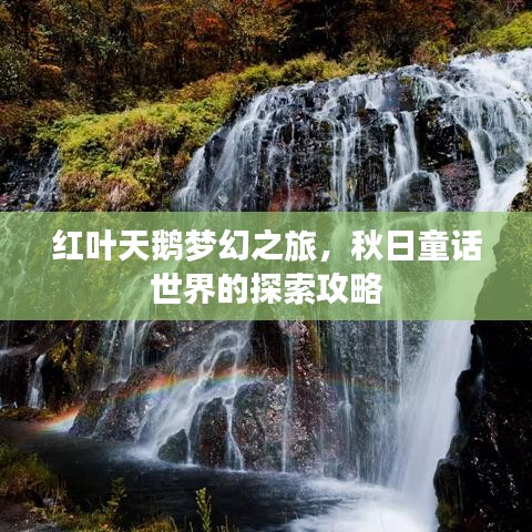 红叶天鹅梦幻之旅，秋日童话世界的探索攻略