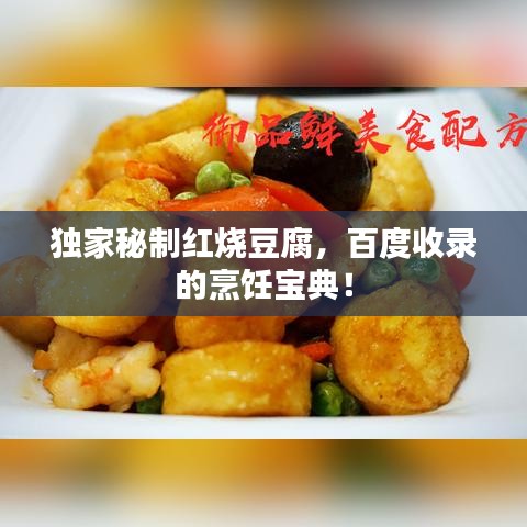 独家秘制红烧豆腐，百度收录的烹饪宝典！