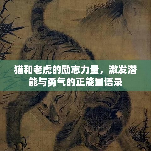猫和老虎的励志力量，激发潜能与勇气的正能量语录