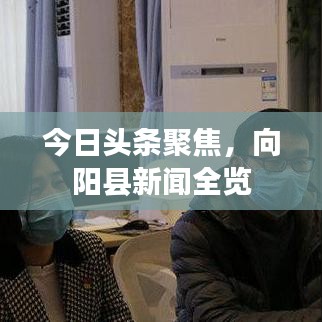 今日头条聚焦，向阳县新闻全览