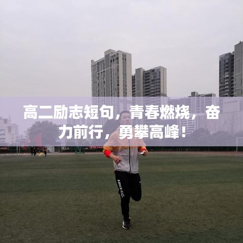 温文尔雅 第5页