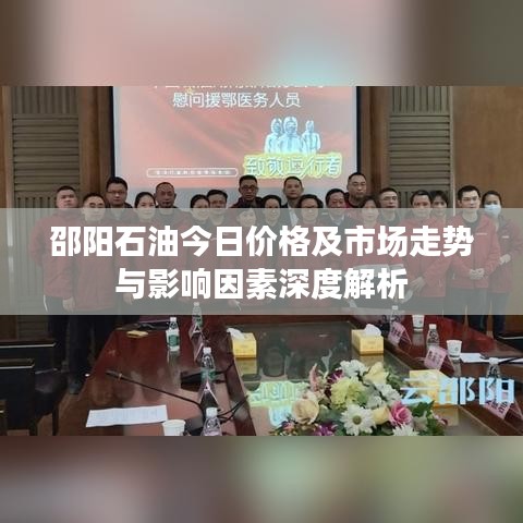 邵阳石油今日价格及市场走势与影响因素深度解析