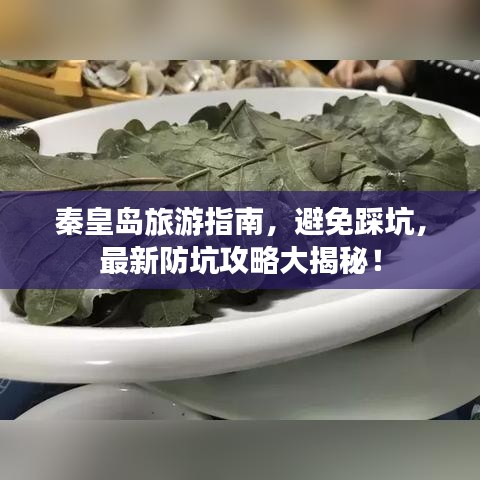 秦皇岛旅游指南，避免踩坑，最新防坑攻略大揭秘！