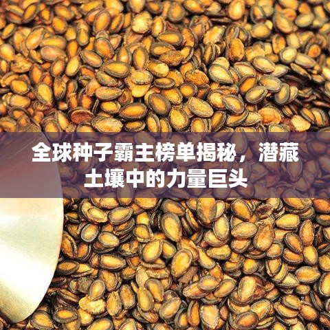 全球种子霸主榜单揭秘，潜藏土壤中的力量巨头