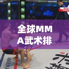 全球MMA武术排名揭秘，探寻武术巅峰之道