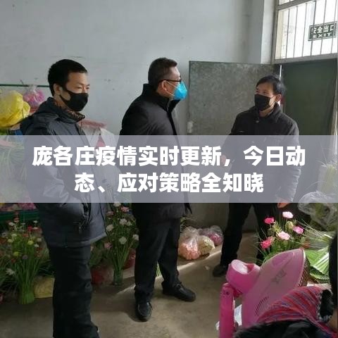 庞各庄疫情实时更新，今日动态、应对策略全知晓