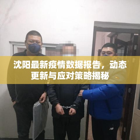 沈阳最新疫情数据报告，动态更新与应对策略揭秘