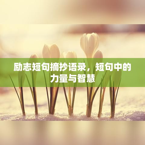 励志短句摘抄语录，短句中的力量与智慧