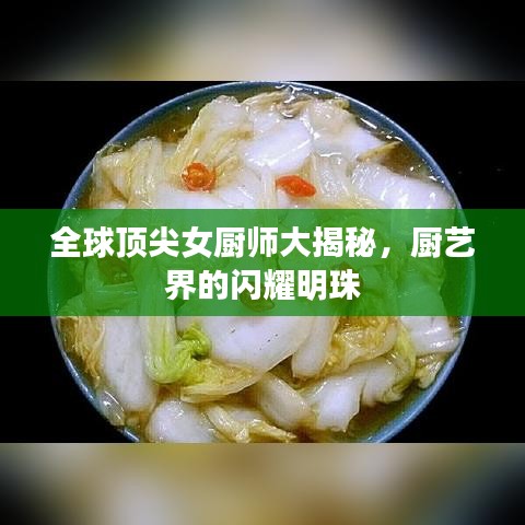 全球顶尖女厨师大揭秘,厨艺界的闪耀明珠