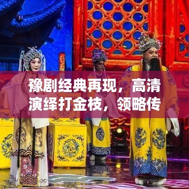 豫剧经典再现，高清演绎打金枝，领略传统艺术的无尽魅力