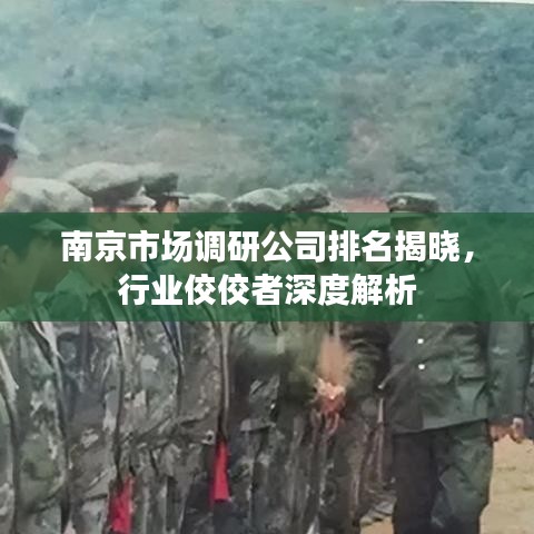 南京市场调研公司排名揭晓，行业佼佼者深度解析