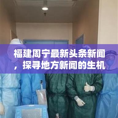 福建周宁最新头条新闻，探寻地方新闻的生机与活力