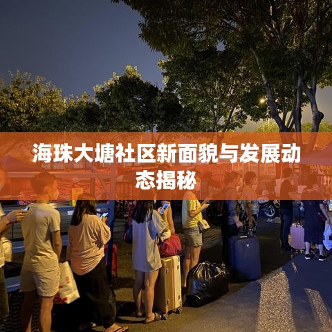 海珠大塘社区新面貌与发展动态揭秘