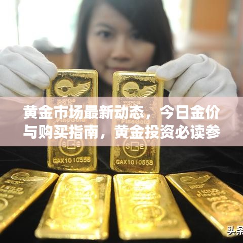 黄金市场最新动态，今日金价与购买指南，黄金投资必读参考