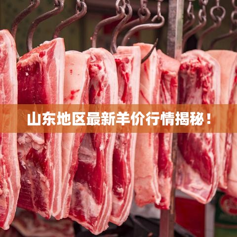 山东地区最新羊价行情揭秘!