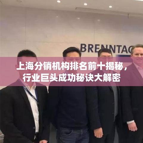 上海分销机构排名前十揭秘，行业巨头成功秘诀大解密