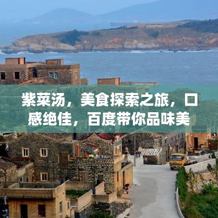 紫菜汤，美食探索之旅，口感绝佳，百度带你品味美味！