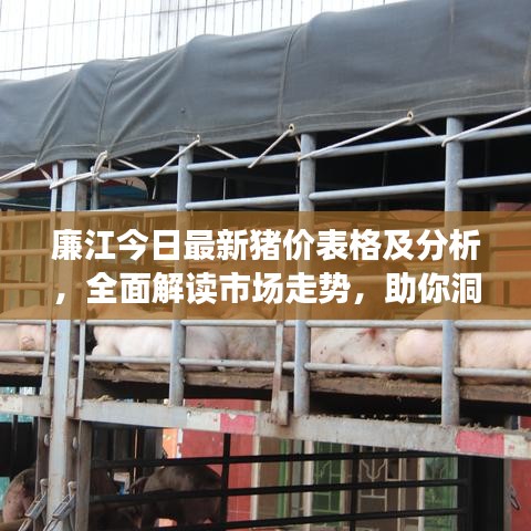 廉江今日最新猪价表格及分析，全面解读市场走势，助你洞悉行情变化！
