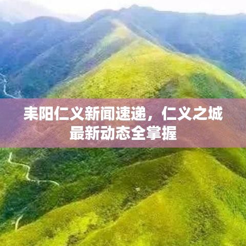 耒阳仁义新闻速递，仁义之城最新动态全掌握