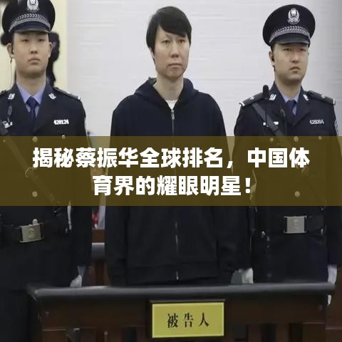揭秘蔡振华全球排名,中国体育界的耀眼明星!