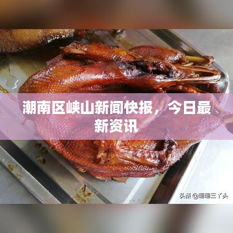 潮南区峡山新闻快报，今日最新资讯