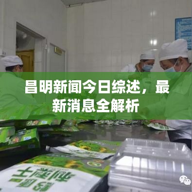 昌明新闻今日综述，最新消息全解析