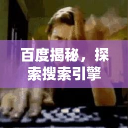 百度揭秘，探索搜索引擎巨头的新动态今日必看！