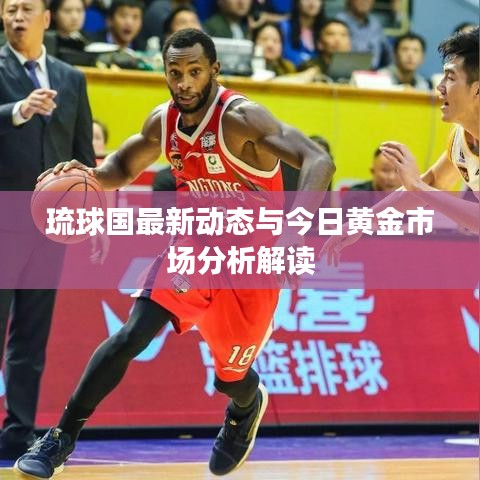 琉球国最新动态与今日黄金市场分析解读