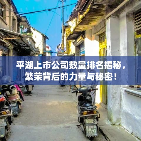 平湖上市公司数量排名揭秘，繁荣背后的力量与秘密！