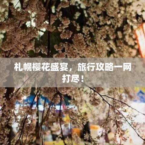 札幌樱花盛宴，旅行攻略一网打尽！