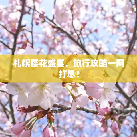 札幌樱花盛宴,旅行攻略一网打尽!