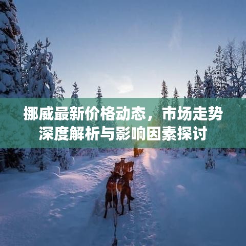 挪威最新价格动态，市场走势深度解析与影响因素探讨