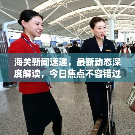 海关新闻速递，最新动态深度解读，今日焦点不容错过