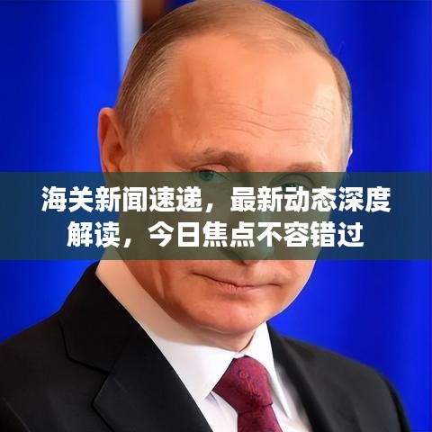 海关新闻速递,最新动态深度解读,今日焦点不容错过