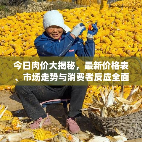 今日肉价大揭秘，最新价格表、市场走势与消费者反应全面解读